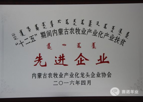 十二五期間內(nèi)蒙古農(nóng)牧業(yè)產(chǎn)業(yè)化產(chǎn)業(yè)扶貧先進企業(yè)和優(yōu)秀會員單位