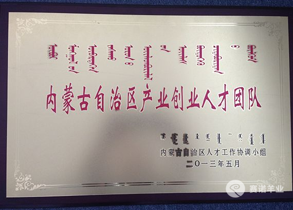 內蒙古自治區(qū)產(chǎn)業(yè)創(chuàng)業(yè)人才團隊